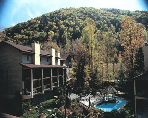 Secluded Family Condo in the Beauty of the Smokies - One Bedroom #1